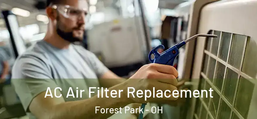  AC Air Filter Replacement Forest Park - OH