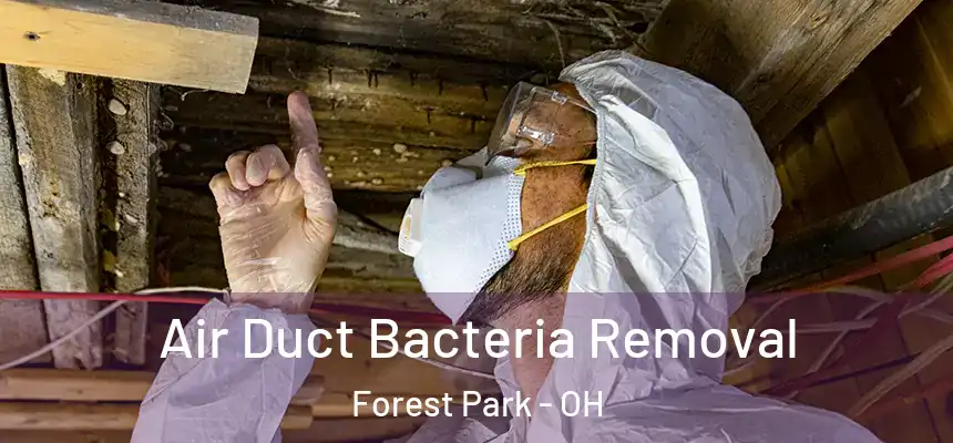  Air Duct Bacteria Removal Forest Park - OH