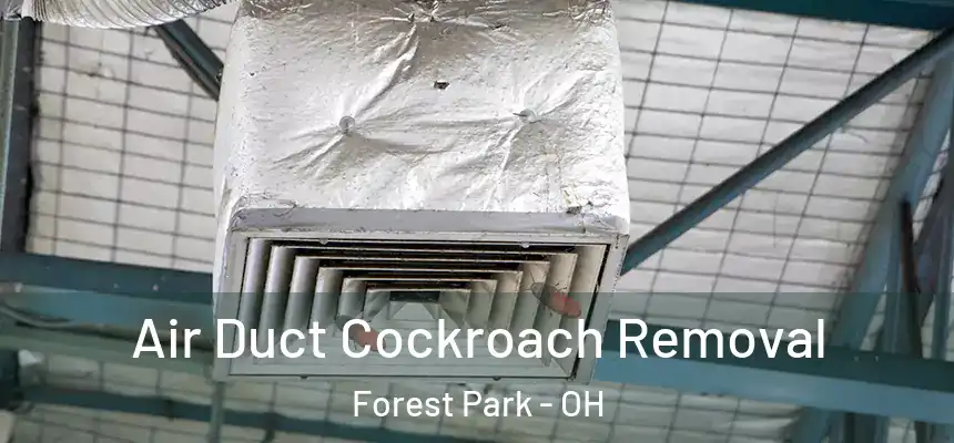  Air Duct Cockroach Removal Forest Park - OH