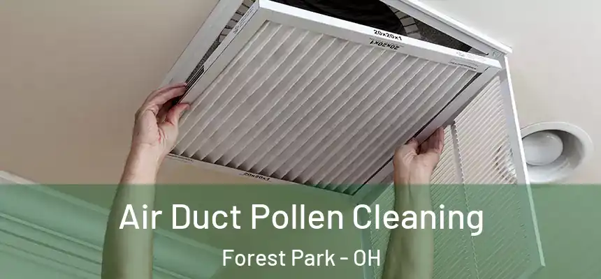  Air Duct Pollen Cleaning Forest Park - OH