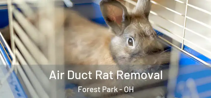  Air Duct Rat Removal Forest Park - OH