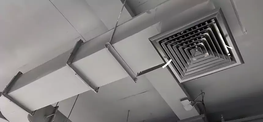 Restorative Allergy Relief Vent Cleaning – Coil, Blower & Housing Detail in Forest Park