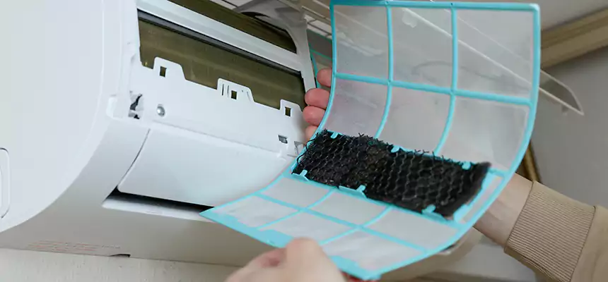 Gentle Ductwork Odor-Control Pet Dander Duct Cleaning in Forest Park, OH