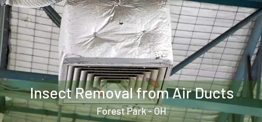 Insect Removal from Air Ducts Forest Park - OH