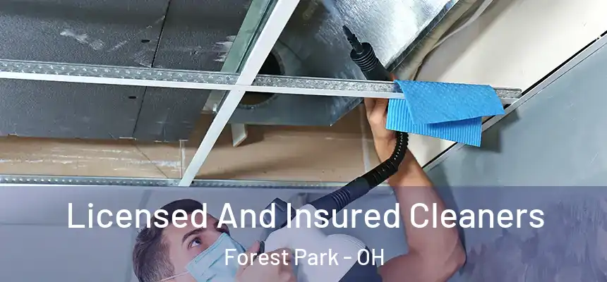  Licensed And Insured Cleaners Forest Park - OH
