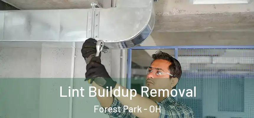  Lint Buildup Removal Forest Park - OH