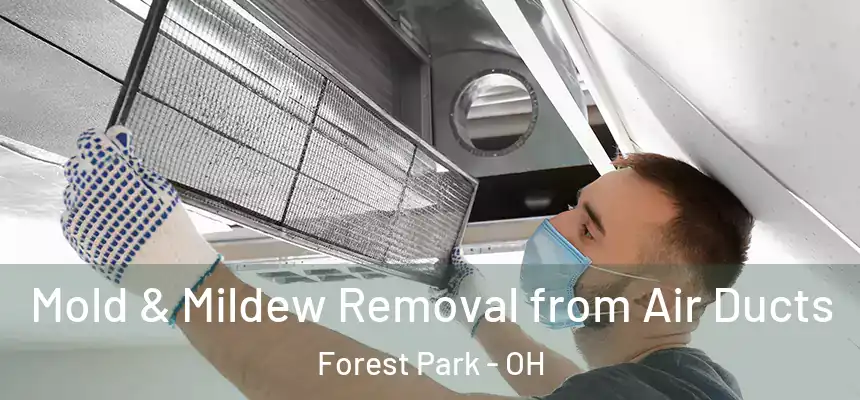  Mold & Mildew Removal from Air Ducts Forest Park - OH