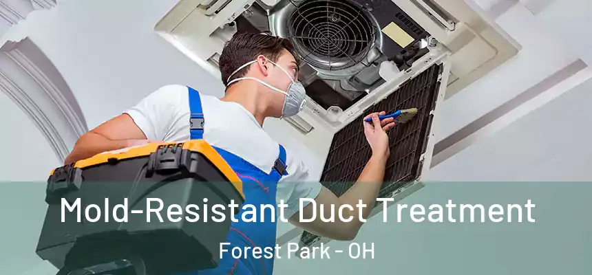  Mold-Resistant Duct Treatment Forest Park - OH