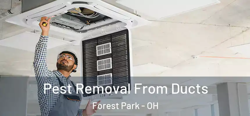  Pest Removal From Ducts Forest Park - OH