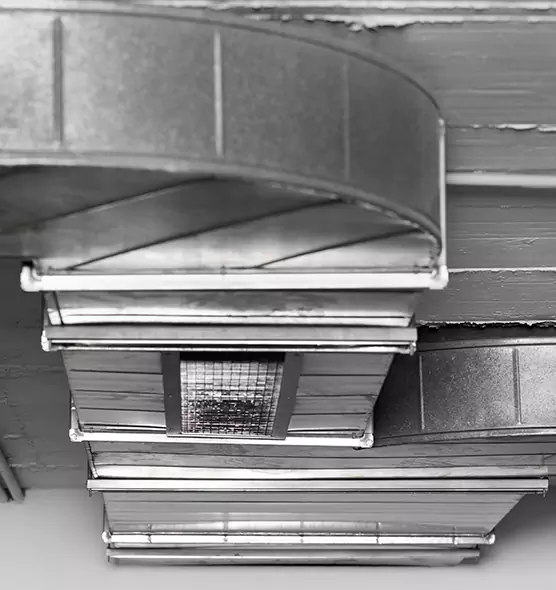 Professional Air Duct Pest Removal in Forest Park, OH