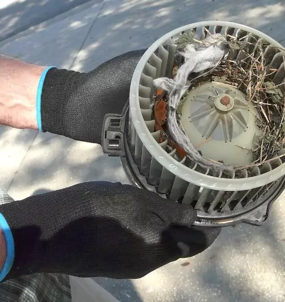 About Air Duct Rat Removal in Forest Park, OH