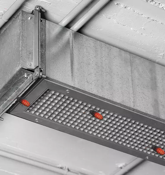 Affordable Insect Removal from Air Ducts in Forest Park, OH