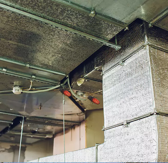 Why Homeowners & Businesses Trust Us in Forest Park, OH?