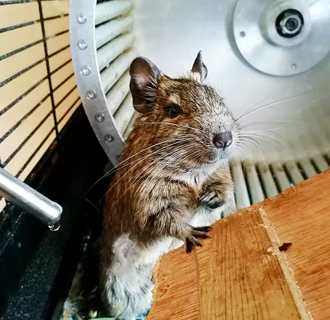 Why Homeowners & Businesses Trust Us Forest Park, OH